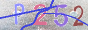 キャプチャ画像